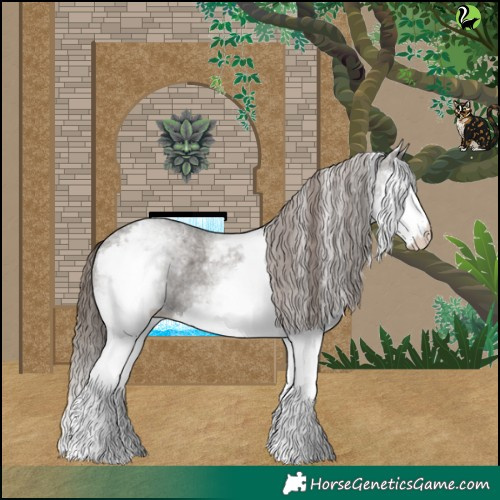 Horse Color:White Spotted Grullo Roan Splash Varnish 