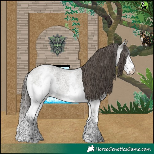 Horse Color:White Spotted Grullo Roan Splash Varnish Rabicano