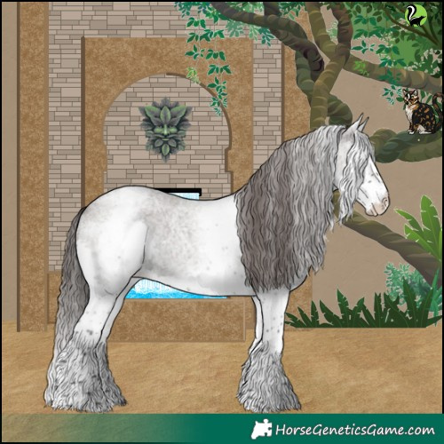 Horse Color:White Spotted Grullo Roan Splash Varnish Rabicano