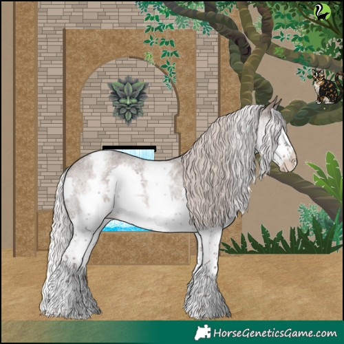 Horse Color:White Spotted Silver Blue Roan Splash Varnish