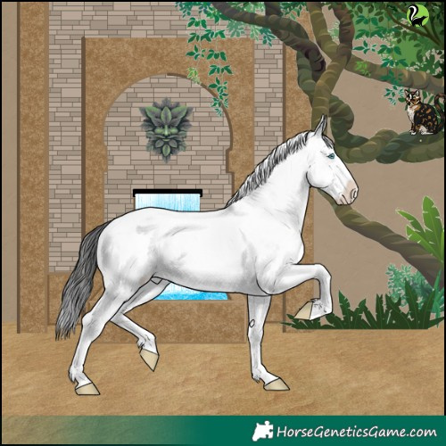 Horse Color:White Spotted Blue Roan Splash Varnish