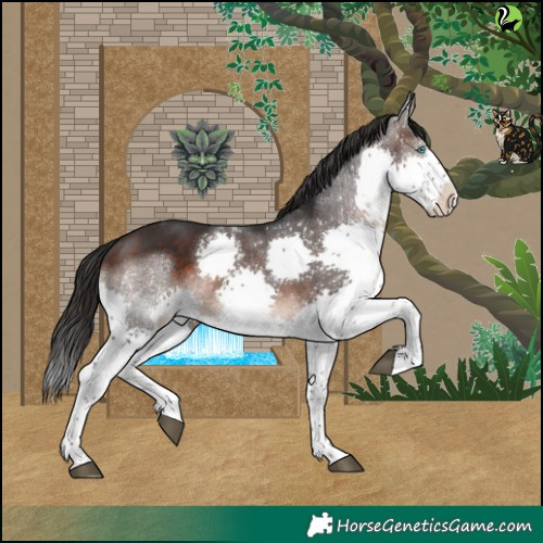 Horse Color:White Spotted Brown Splash Rabicano 