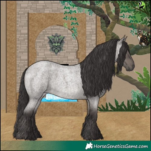 Horse Color:Smoky Grullo Roan