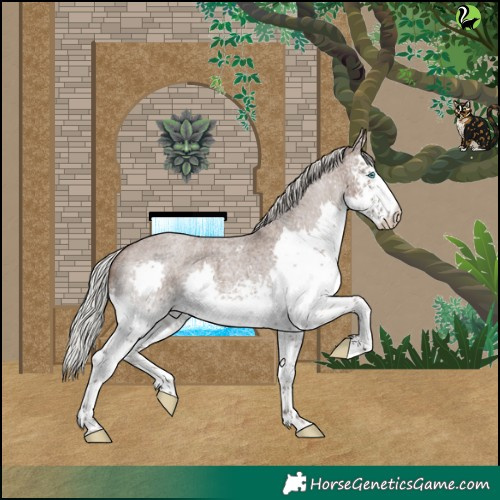 Horse Color:White Spotted Silver Blue Roan Splash Rabicano
