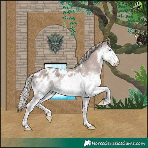 Horse Color:White Spotted Silver Grullo Roan Splash Blanket