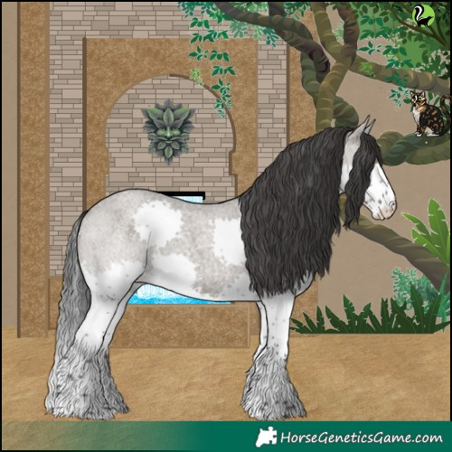 Horse Color:Grullo Roan Splash