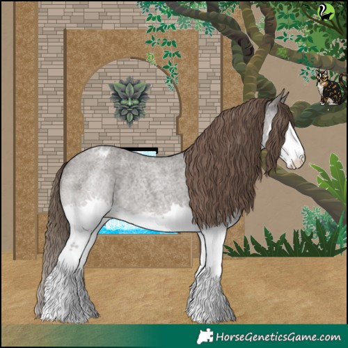 Horse Color:Grullo Roan Splash Varnish Rabicano