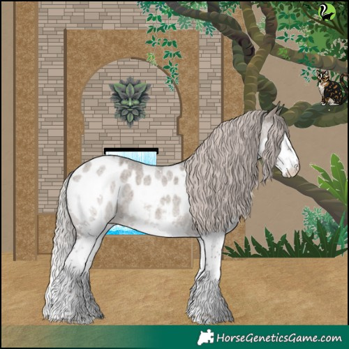 Horse Color:Silver Grullo Roan Splash Near Leopard