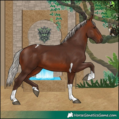 Horse Color:Silver Brown Tobiano