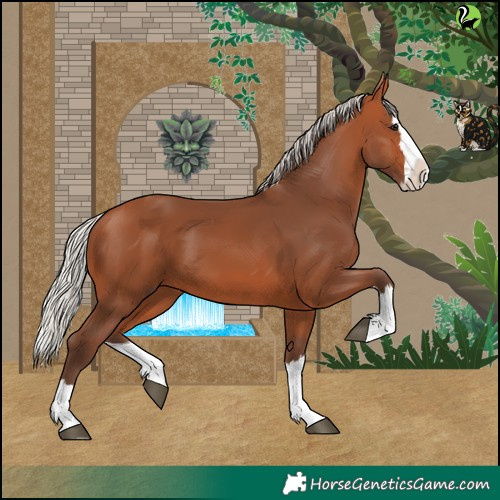 Horse Color:Silver Bay Splash