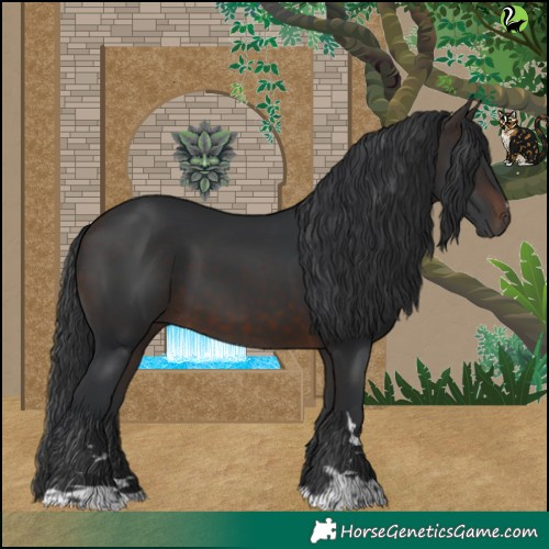 Horse Color:Brown 