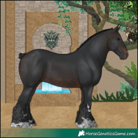 Horse Color:Brown 