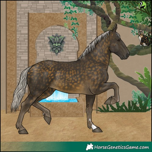 Horse Color:Silver Buckskin