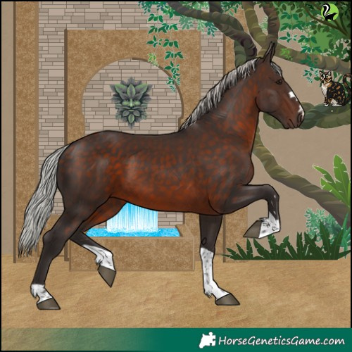 Horse Color:Silver Brown Tobiano 