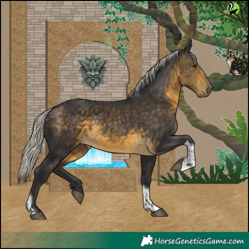 Horse Color:Silver Buckskin Tobiano 