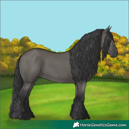 Horse Color:Grullo