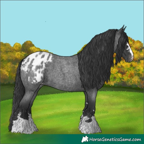 Horse Color:Blue Roan Blanket 