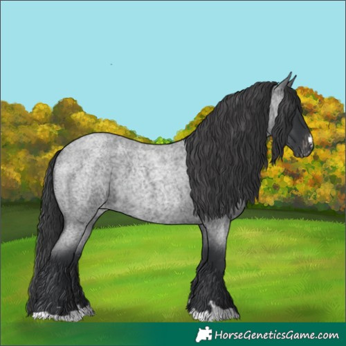 Horse Color:Blue Roan Varnish 