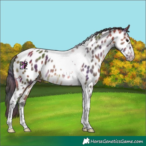 Horse Color:Nacre Bay Tobiano Near Leopard