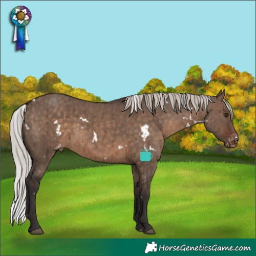Horse Color:White Spotted Silver Brown Dun Varnish Rabicano Brindle