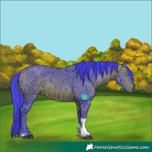 Horse Color:Watercolor Bay Ice Tobiano 