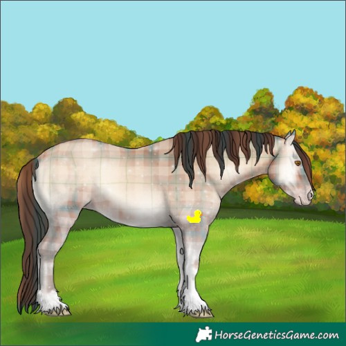Horse Color:Plaid Amber Champagne Onyx Tobiano