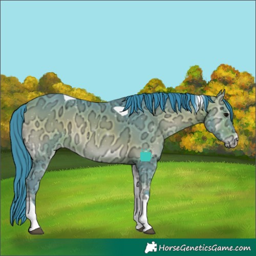 Horse Color:Watercolor Bay Ice Onyx Tobiano