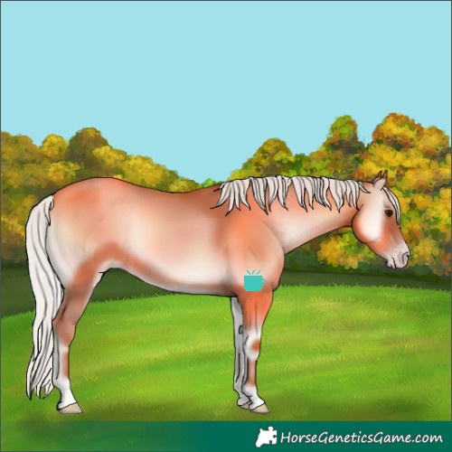 Horse Color:Silver Classic Champagne Onyx
