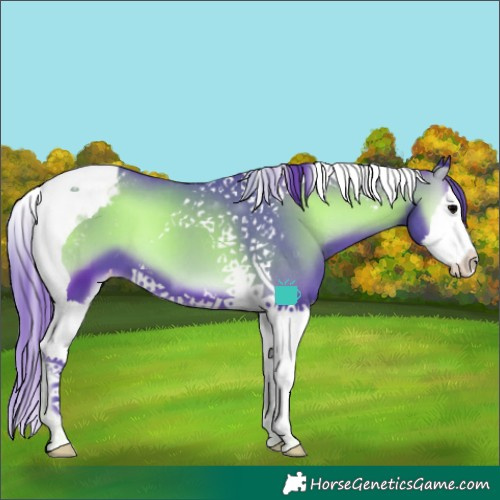 Horse Color:Watercolor Blue Onyx Splash Tobiano Varnish