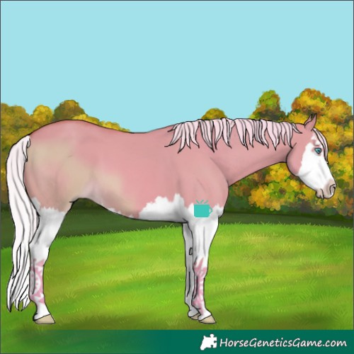 Horse Color:Watercolor Silver Bay Dun Splash 
