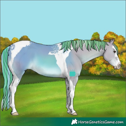 Horse Color:Painted Watercolor Chestnut Splash Tobiano