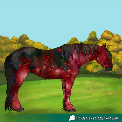 Horse Color:ERROR: UNKNOWN ANOMALY