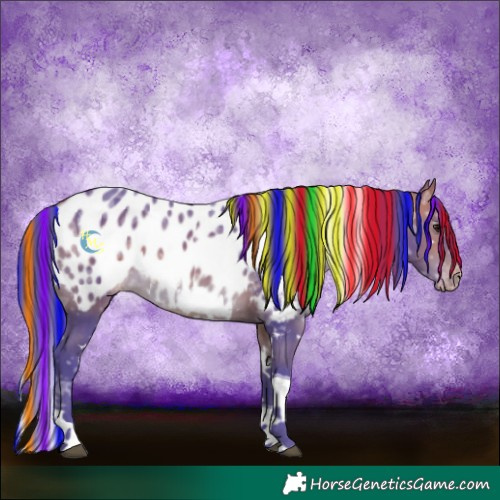 Horse Color:Painted Watercolor White Spotted Bay Ice Tobiano Blanket