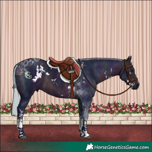 Horse Color:Watercolor White Spotted Midnight Silver Bay Tobiano 