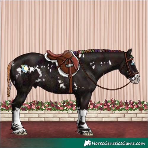 Horse Color:Painted Nacre White Spotted Midnight Chestnut Ice Splash Rabicano 