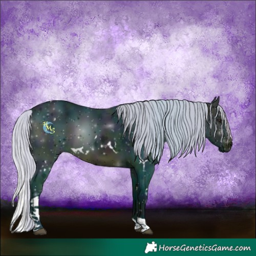 Horse Color:Watercolor White Spotted Midnight Silver Brown Tobiano