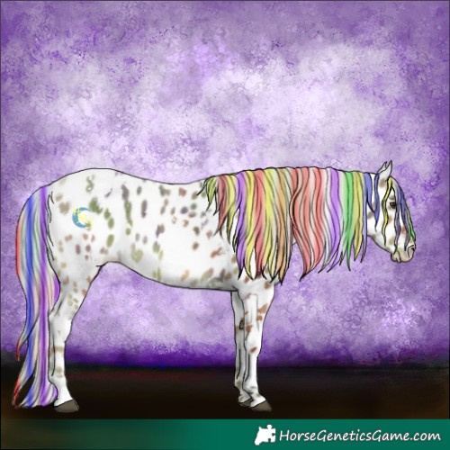 Horse Color:Painted Nacre White Spotted Silver Bay Tobiano Near Leopard