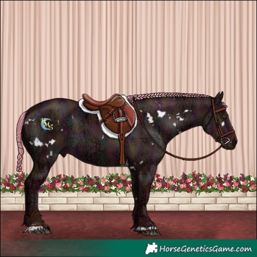 Horse Color:Watercolor White Spotted Midnight Liver Red Dun Ice