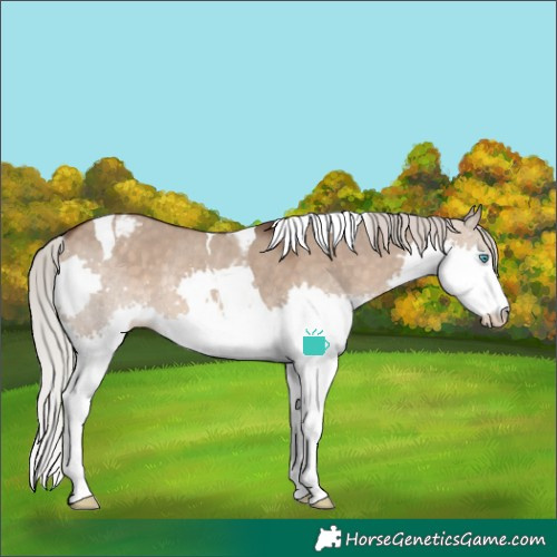 Horse Color:White Spotted Silver Brown Dun Splash Tobiano Varnish Rabicano