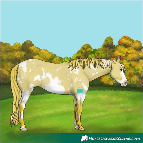Horse Color:Watercolor White Spotted Liver Red Dun Frame