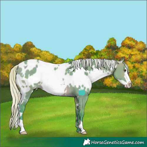 Horse Color:Watercolor White Spotted Silver Brown Dun Frame Blanket 