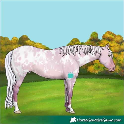 Horse Color:Watercolor White Spotted Silver Brown Pearl Dun Blanket Rabicano