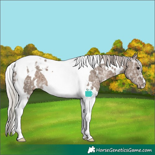 Horse Color:White Spotted Silver Grullo Ice Tobiano Varnish 