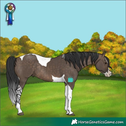 Horse Color:Brown Dun Splash Tobiano Rabicano 