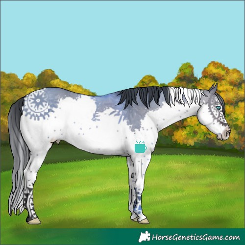 Horse Color:White Spotted Brown Dun Splash Tobiano