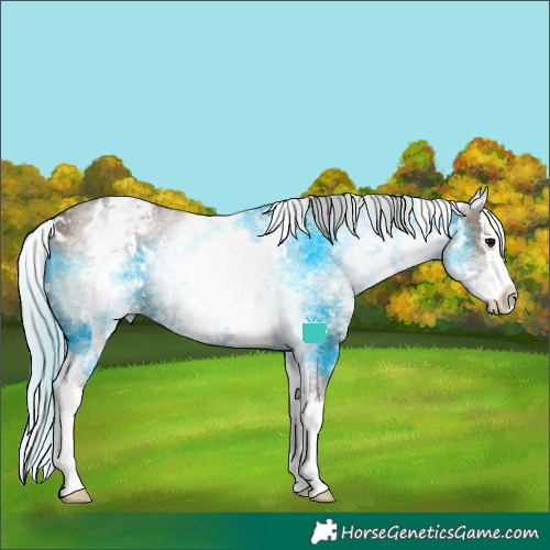 Horse Color:White Spotted Silver Grullo Splash Snowflake Varnish Rabicano Brindle