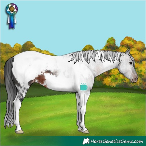 Horse Color:White Spotted Brown Tobiano Snowcap