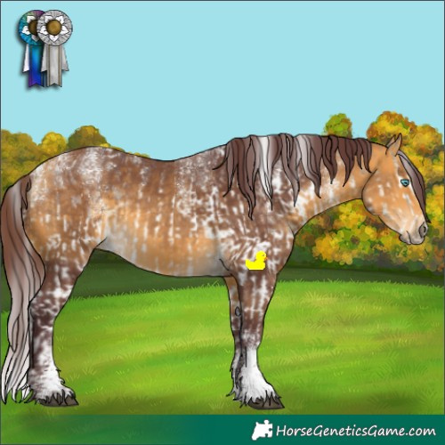 Horse Color:Powder White Chocolate Buckskin Splash and Powder White Chocolate Buckskin