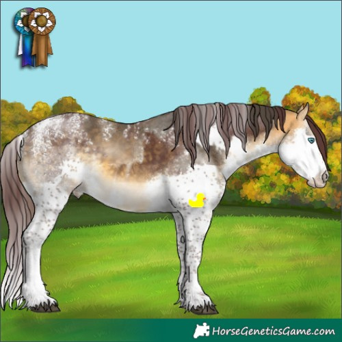 Horse Color:Powder White Buckskin Splash and Powder White Chocolate Buckskin Splash