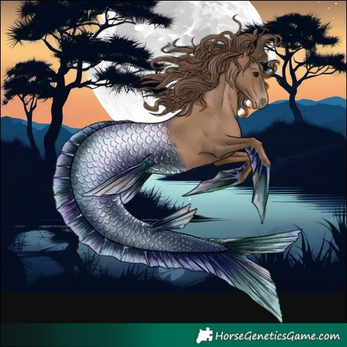 Horse Color:Black Pearl 